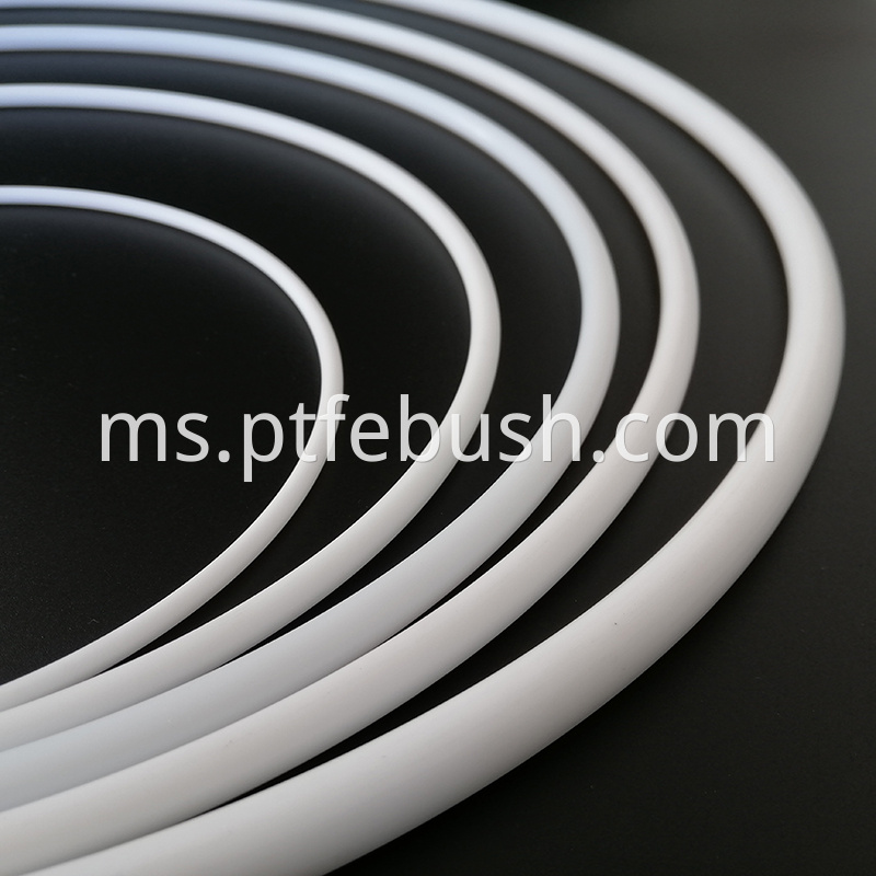 Ptfe O Ring 13